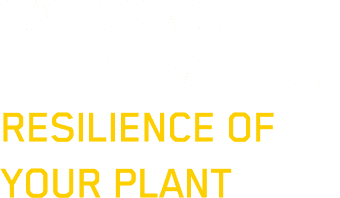 Safeguard the Operational Resilience of Your Plant