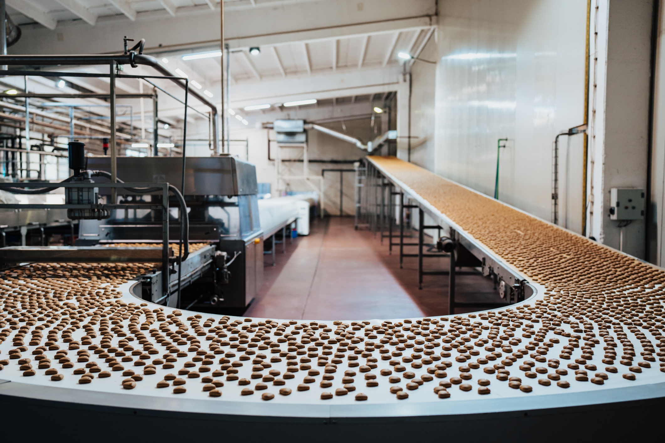 Confection manufacturing