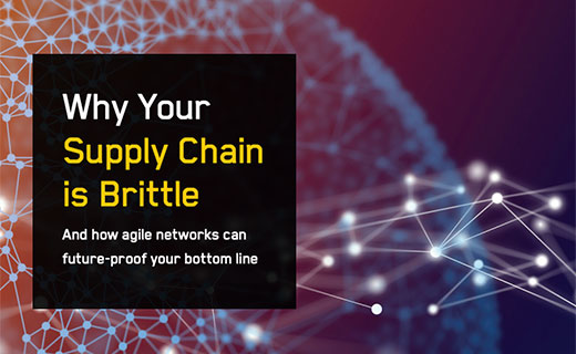 Why Your Supply Chain is Brittle, eBook cover