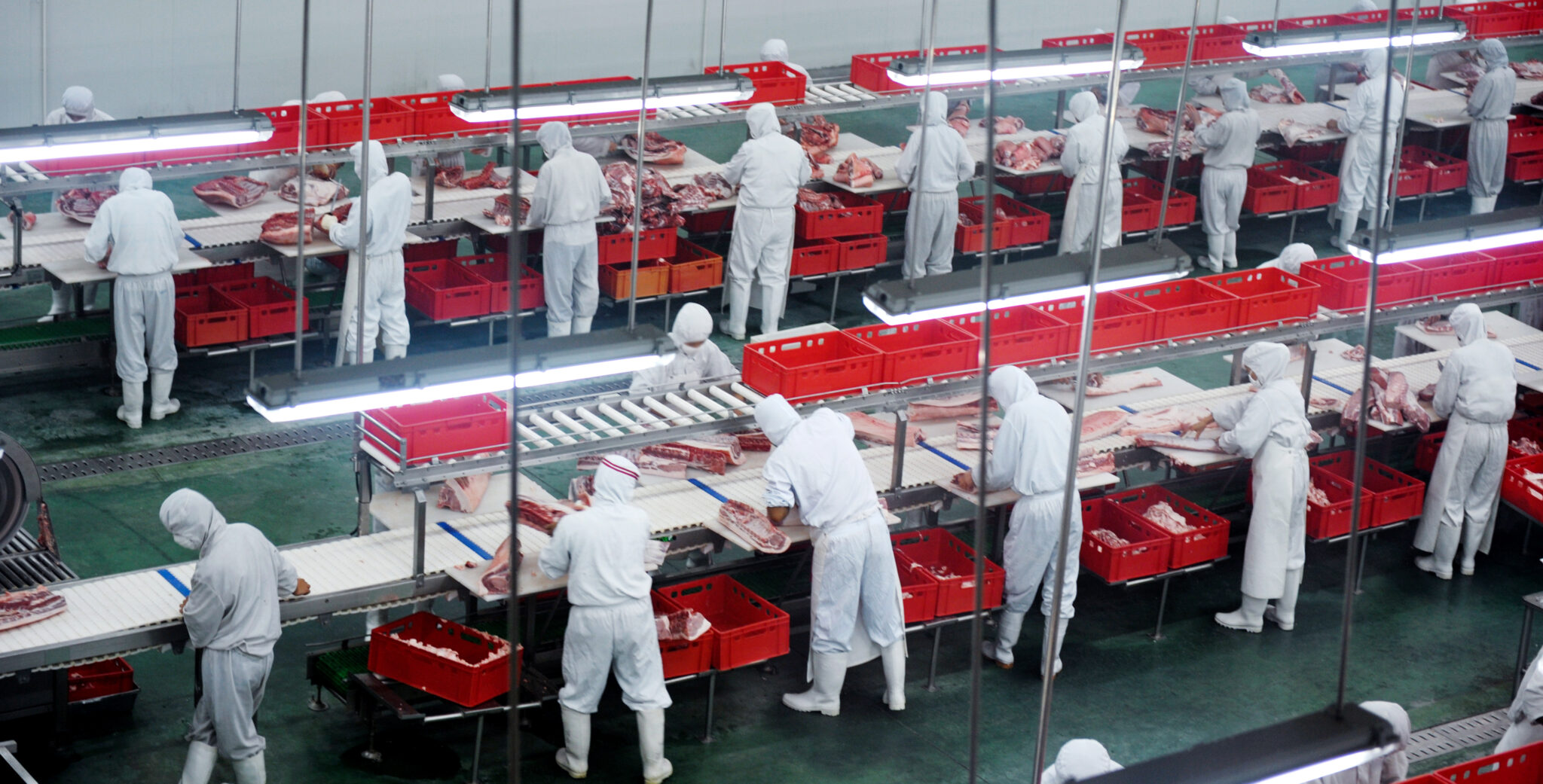 Meat Management Digitizing Meat Processing: Optimizing Raw Material Audits Quality ...