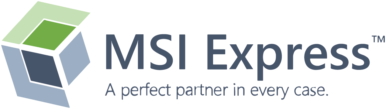 MSI Express logo