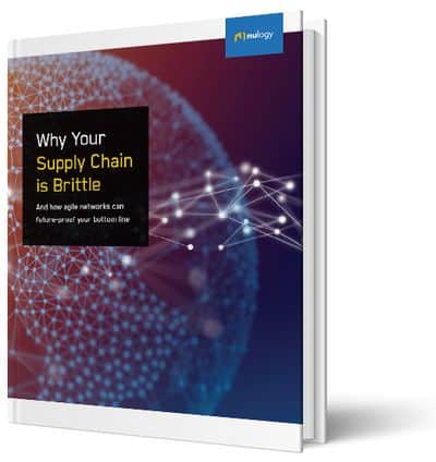 Mockup of the Why Your Supply Chain is Brittle eBook cover