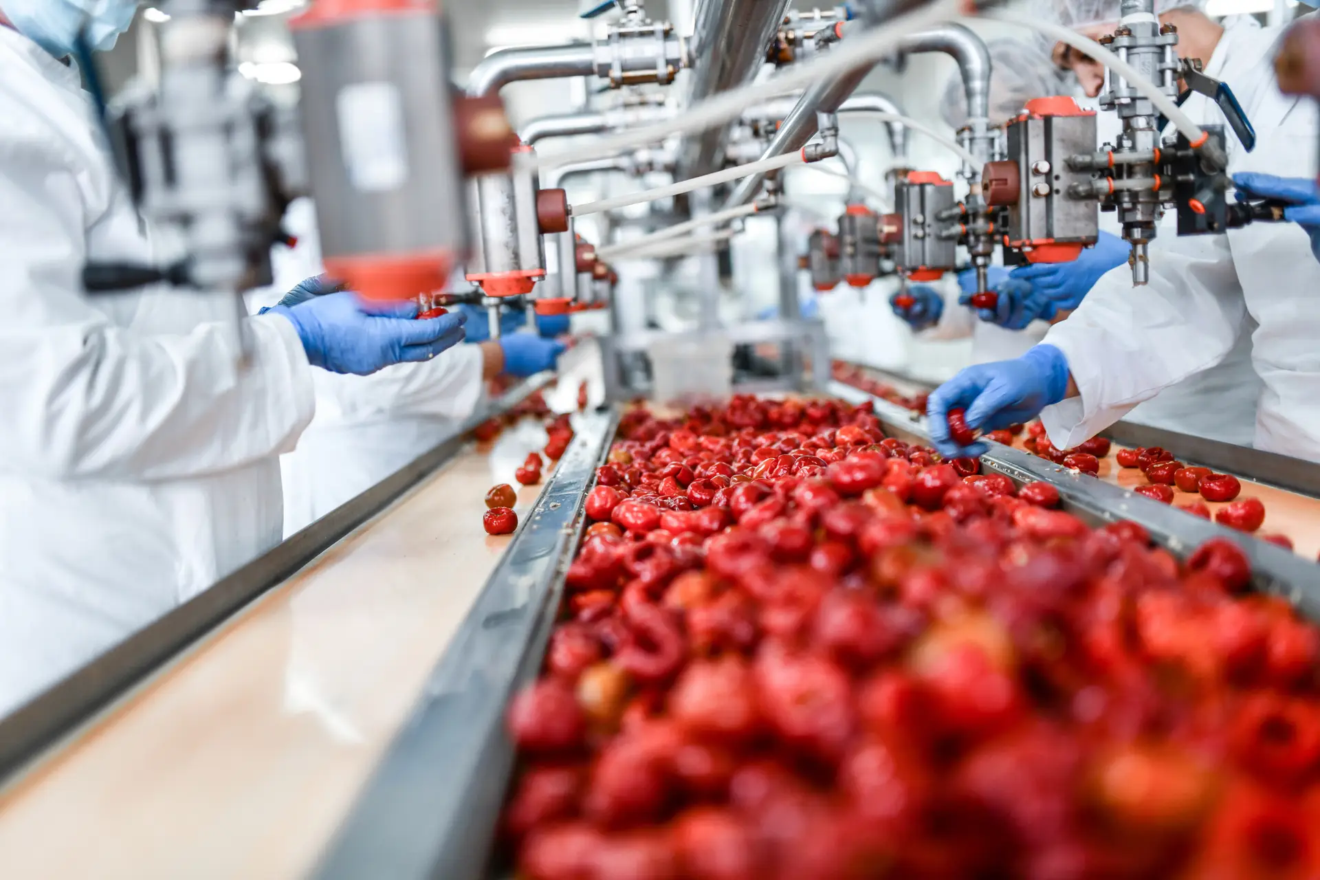 FSMA food safety fsqa food manufacturing line