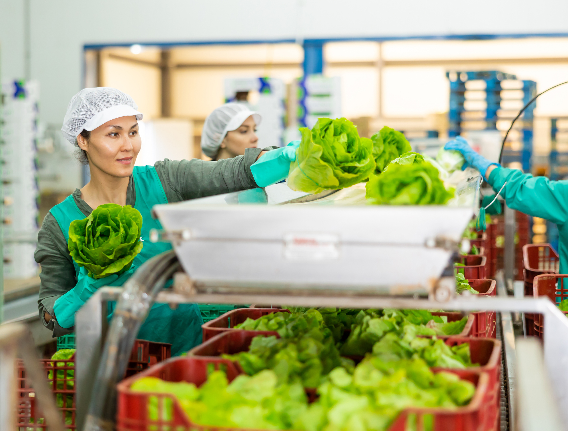 FSMA 204: trazabilidad de los alimentos; productos frescos
